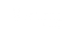 Vaillant Live Derby