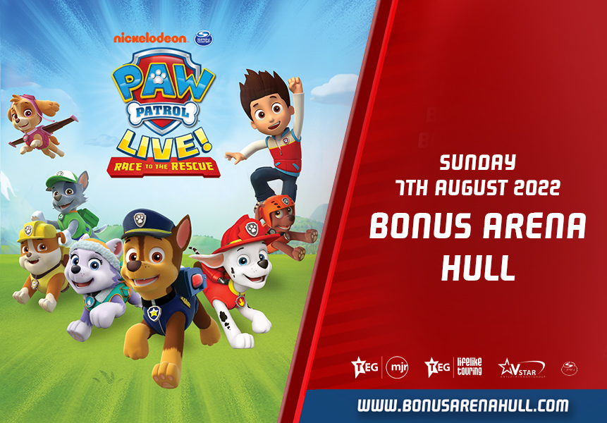 PAW Patrol: Race to the Rescue