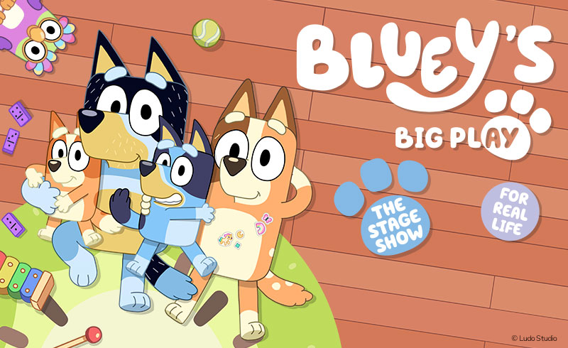 Bluey's Big Play