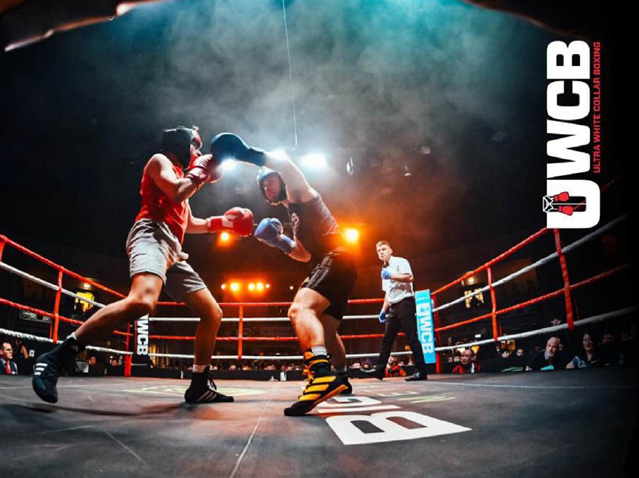 Ultra White Collar Boxing